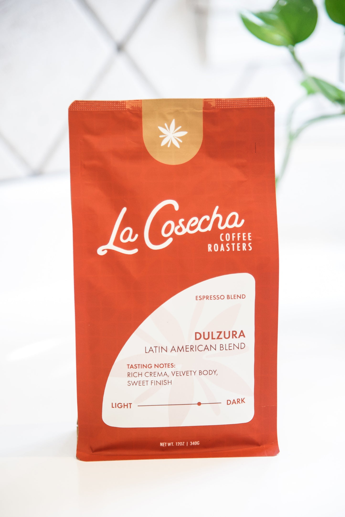 La Cosecha coffee roasters package on a white background with a plant in the corner