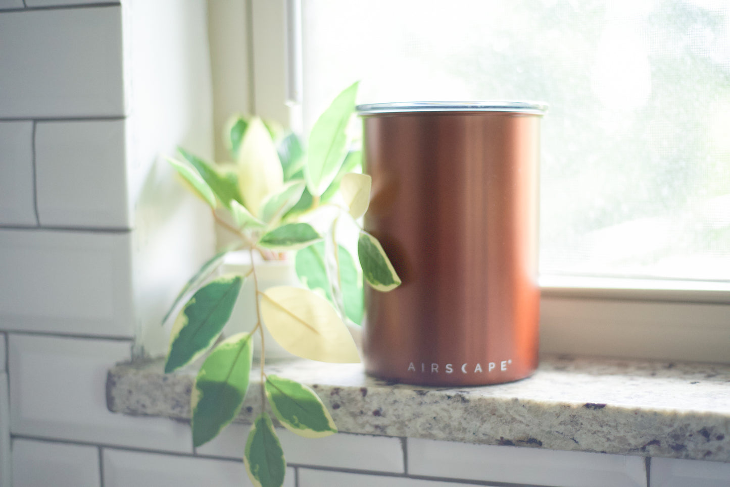A copper-colored Airscape canister sits on a kitchen window sill next to a green plant, with a white subway tile wall in the background.