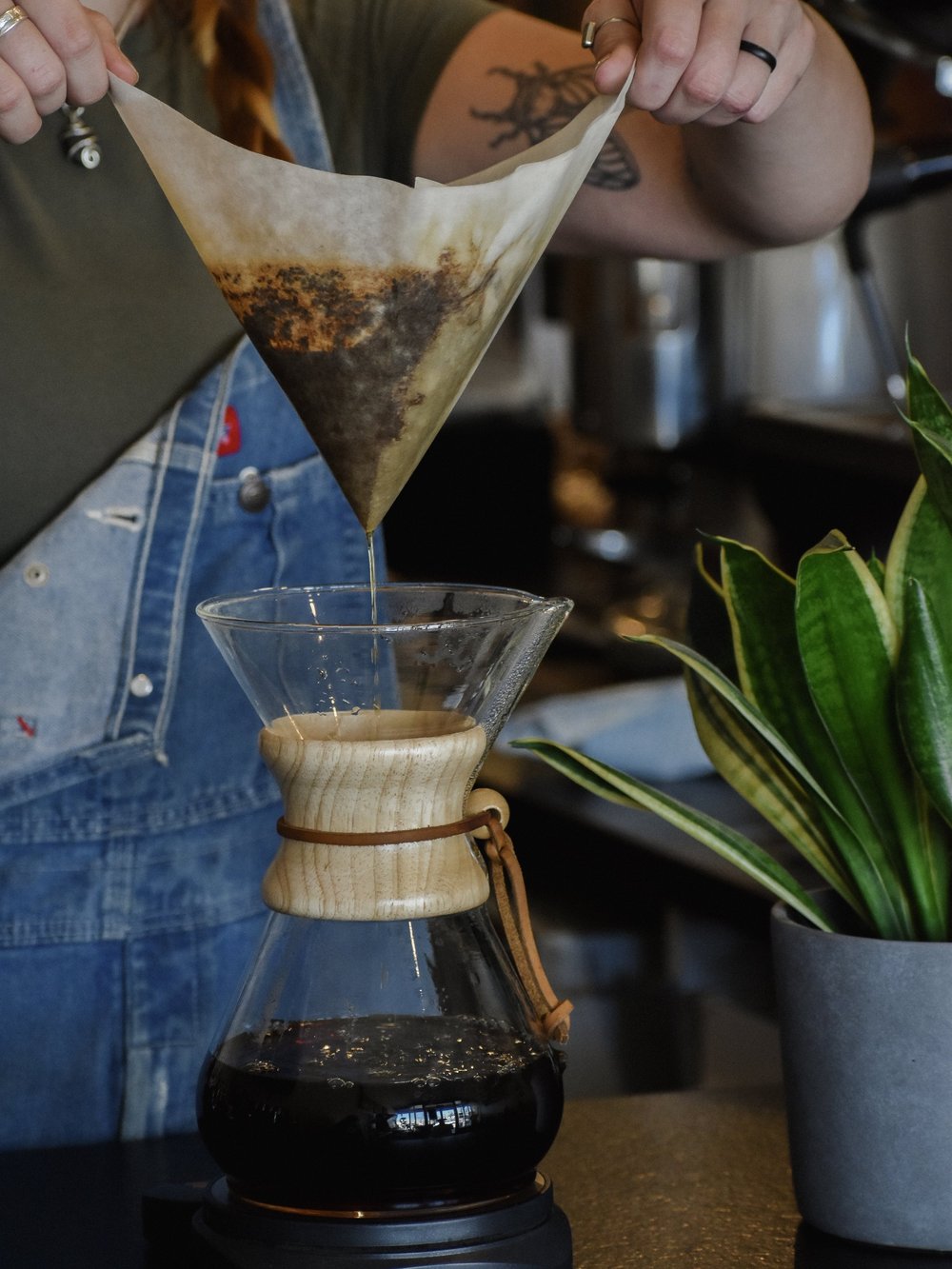 Person pouring coffee into a glass carafe with a wooden collar, surrounded by a plant and blurred background.