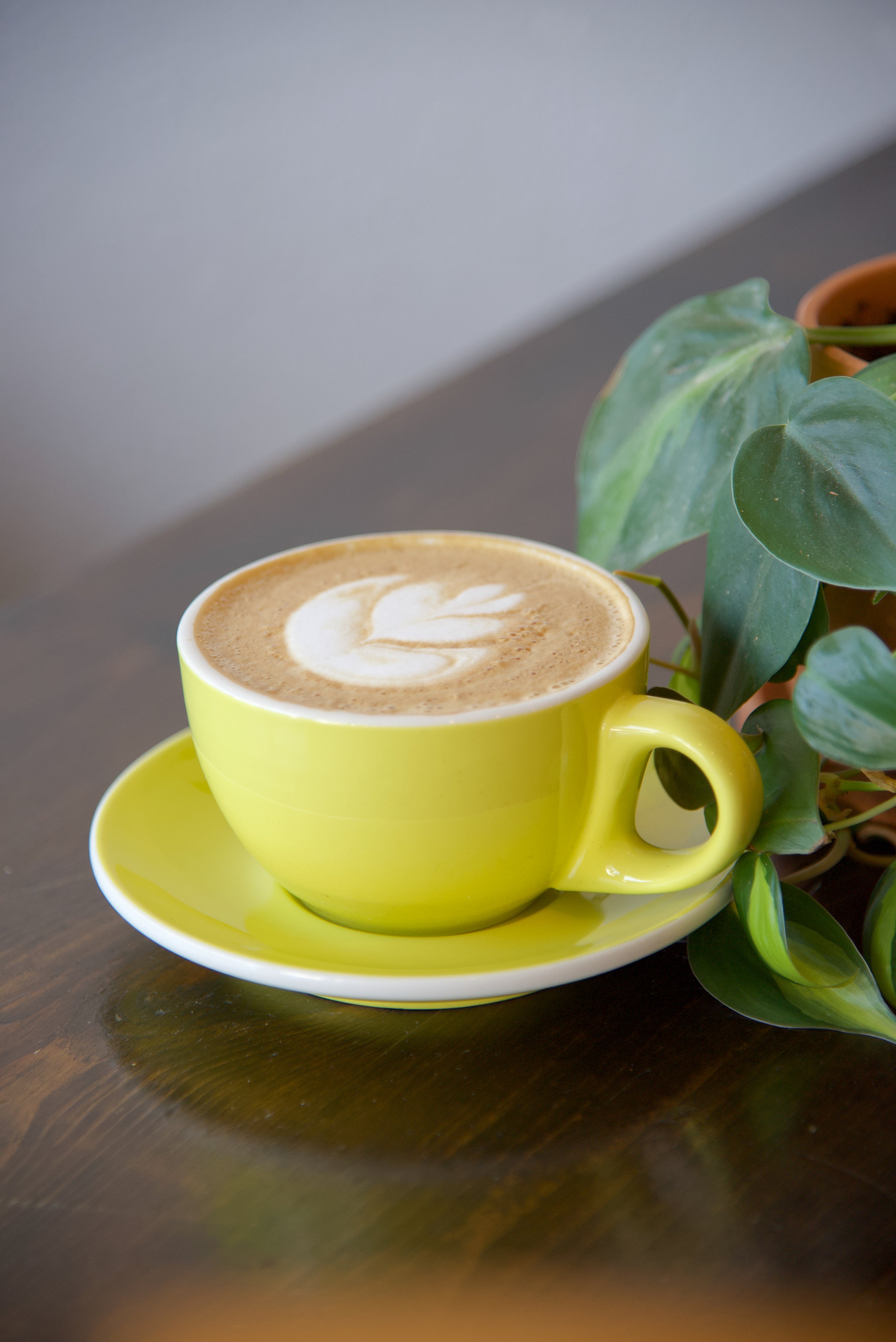 Flat white in a mug for here