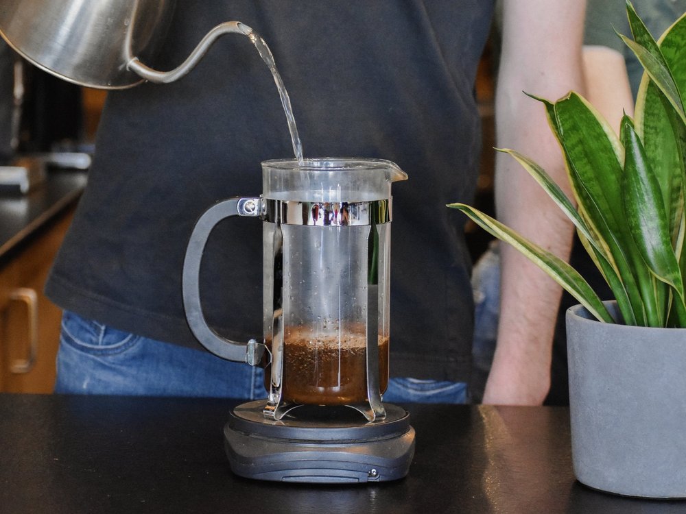 Person pouring liquid into a French Press with a plant in the background
