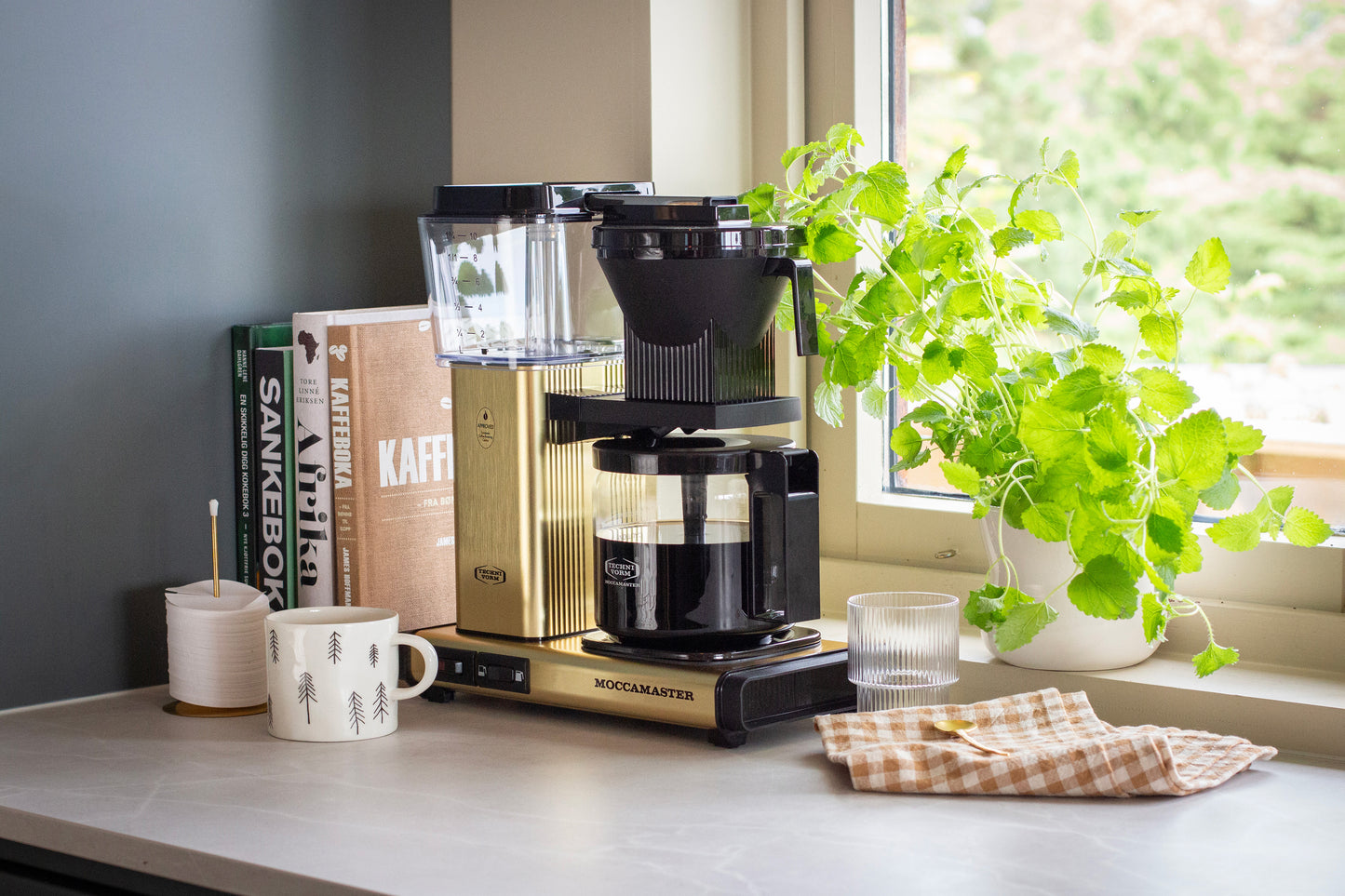Coffee maker on a kitchen counter with books and a plant in the background
