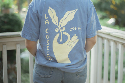 A person viewed from behind wearing a light blue graphic T-shirt with a large cream leaf-and-hand print and the text 'La Cosecha est. 06' on the back, standing outdoors near a white railing.