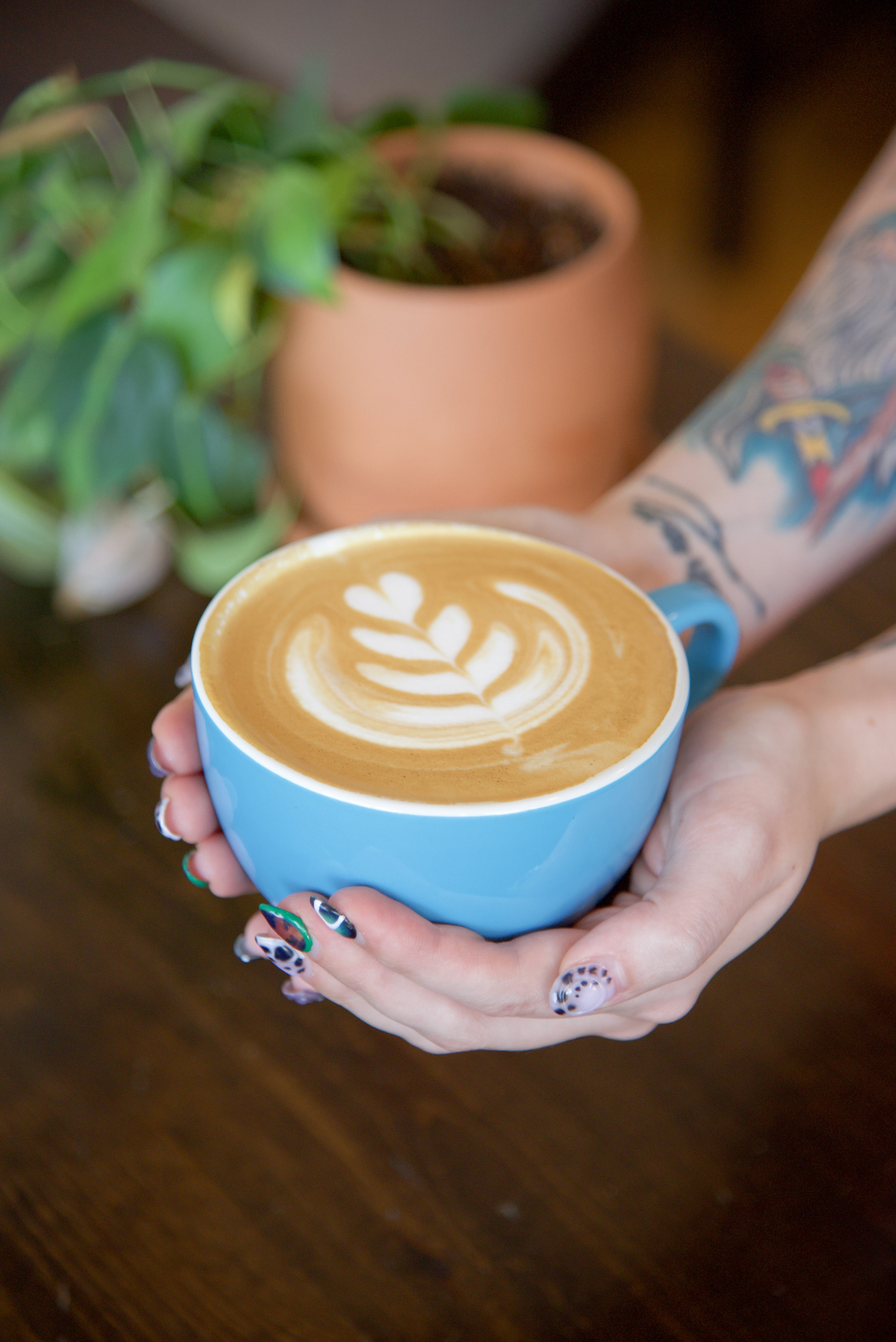 Person holding a latte in a blue mug with latte art and a plant in the background.