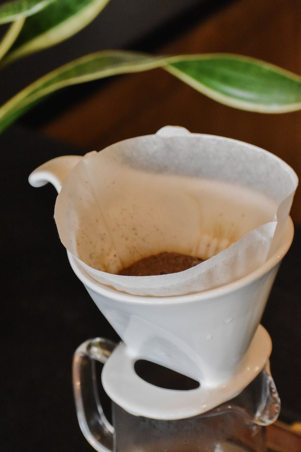 Bee House white ceramic coffee filter with coffee grounds on a dark surface with green leaves in the background