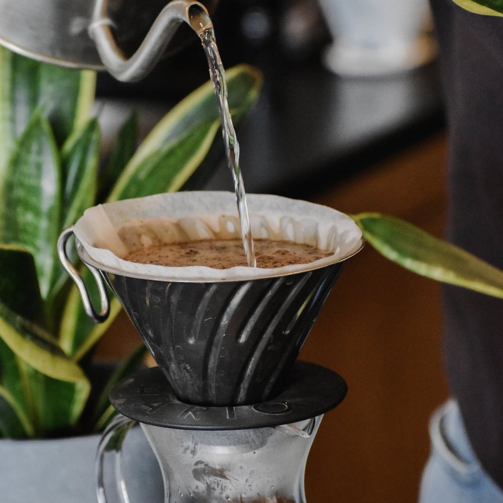 Coffee being poured into a black coffee filter with a plant in the background