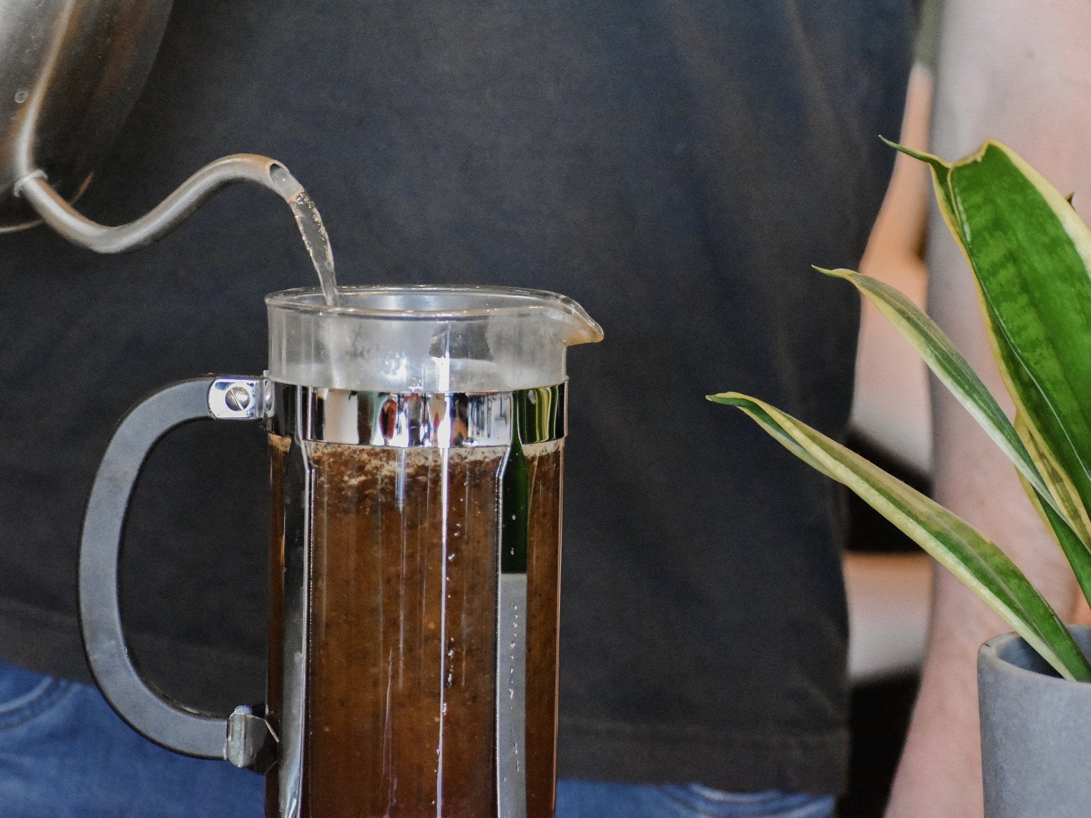 Person making coffee using a French press with a plant in the background